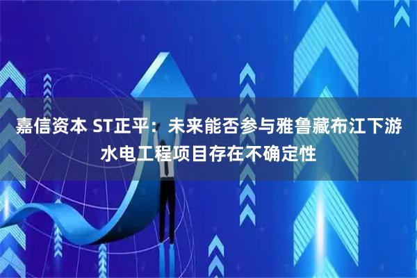 嘉信资本 ST正平：未来能否参与雅鲁藏布江下游水电工程项目存在不确定性